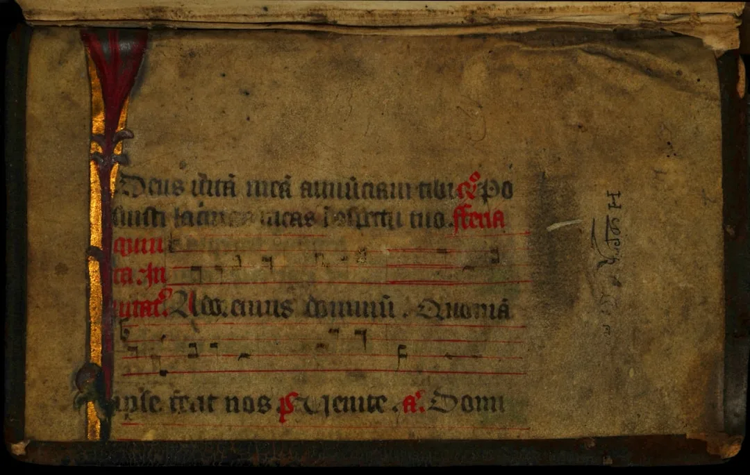 medical dictionary open book
