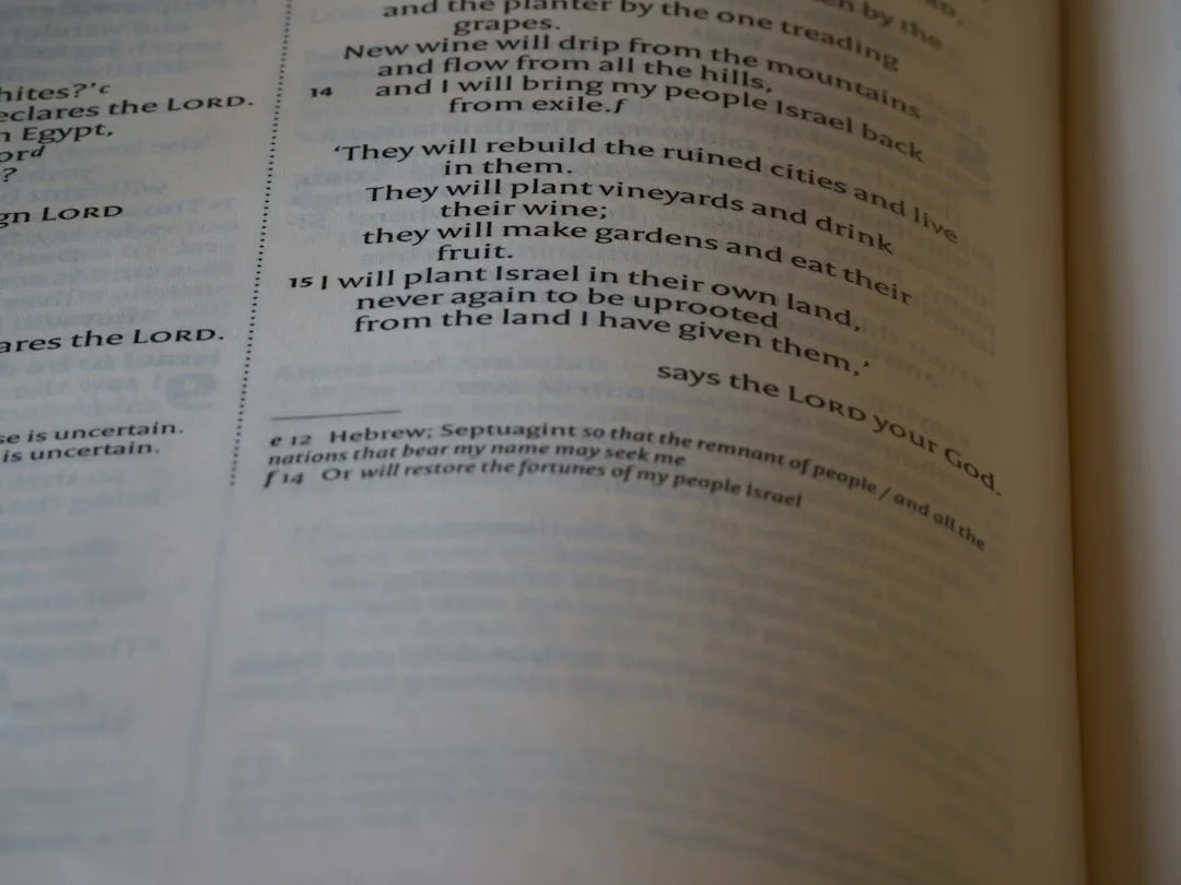 student studying customs procedures