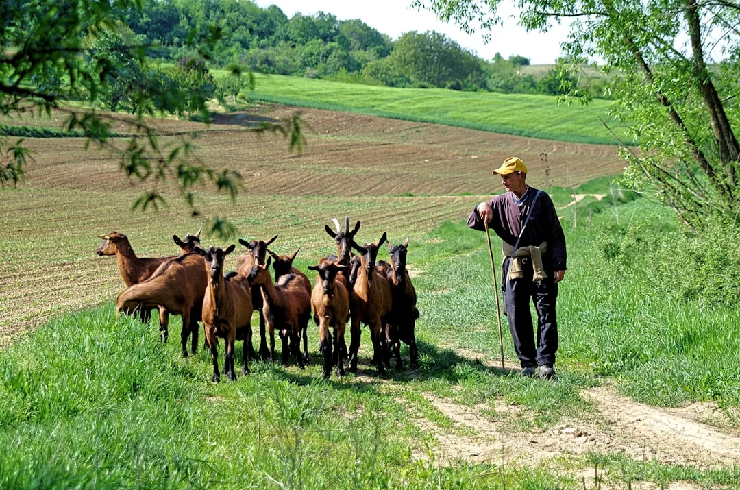farmer teaching group