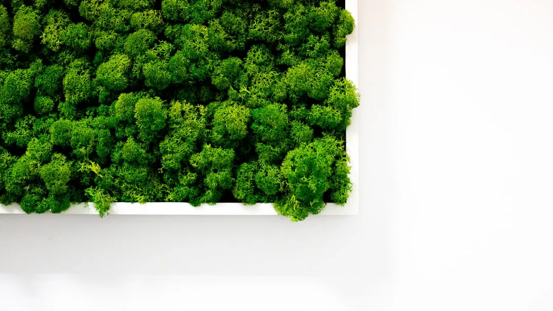 green marketing campaign concept